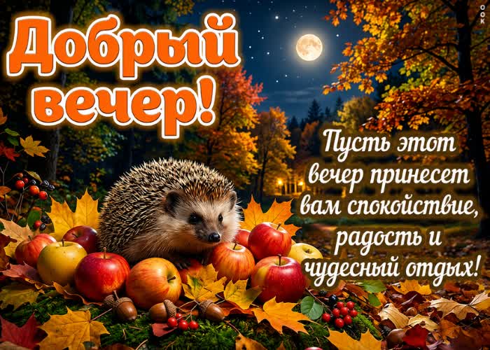 Picture осенний вечер приносит особую атмосферу тишины.