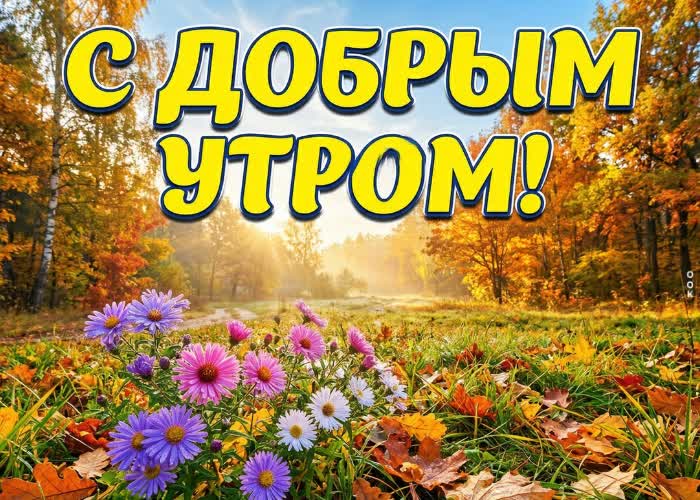 Postcard осенний воздух, яркие листья и новый день впереди.