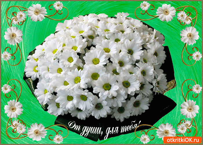 Картинка от души для тебя нежные ромашки