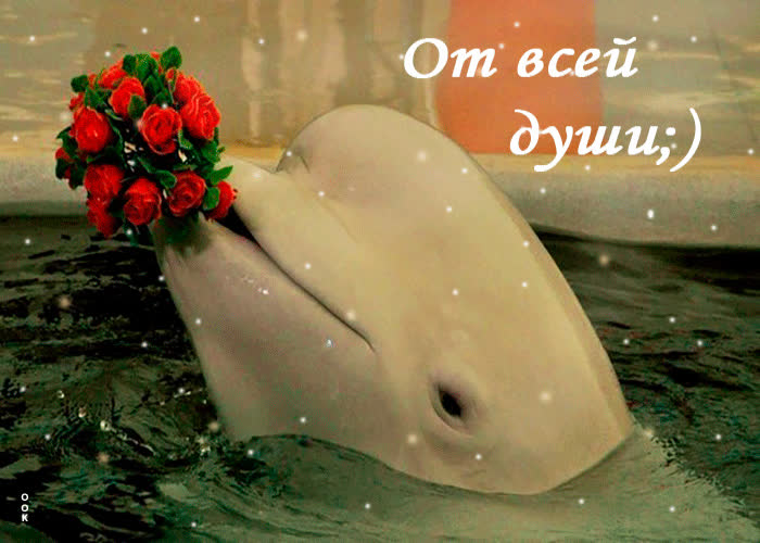 Картинка от всей души, букет нежных роз