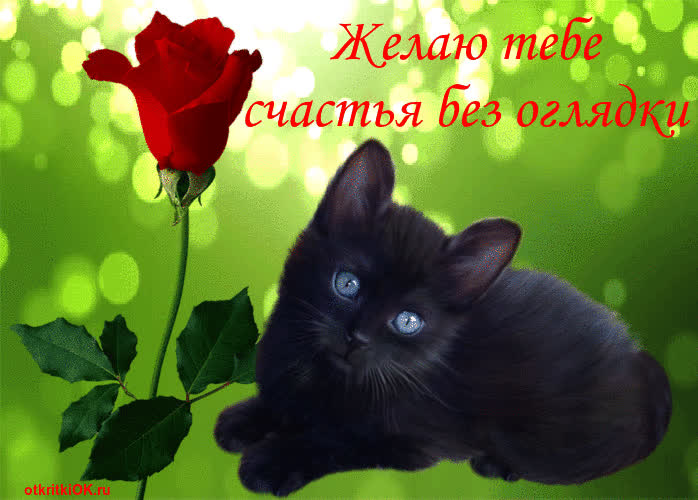 Картинка картинка желаю счастья