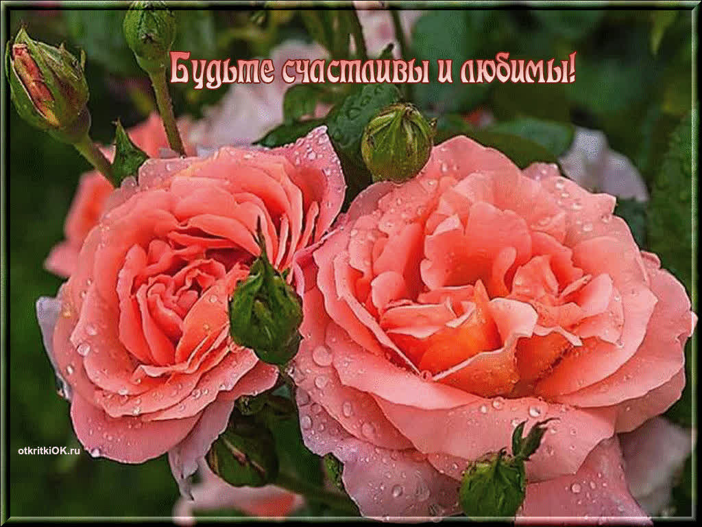 Картинка картинка онлайн бесплатно