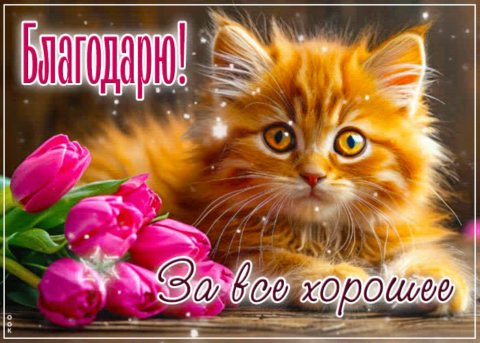 Picture открытка благодарю за все хорошее