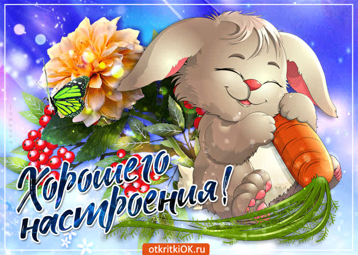 Картинка картинка для позитива и настроения на весь день