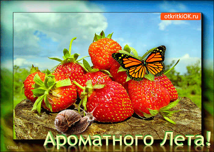 Картинка картинка хорошего лета