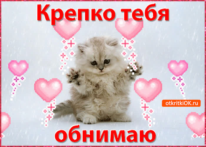 Картинка картинка крепко обнимаю