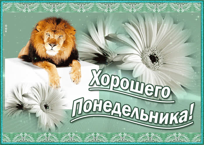 Картинка картинка понедельник день хороший