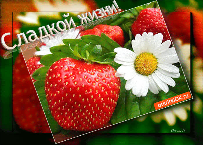 Картинка картинка пожелание сладкой жизни