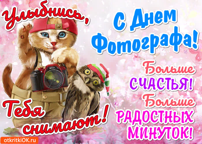 Картинка картинка с днём фотографа
