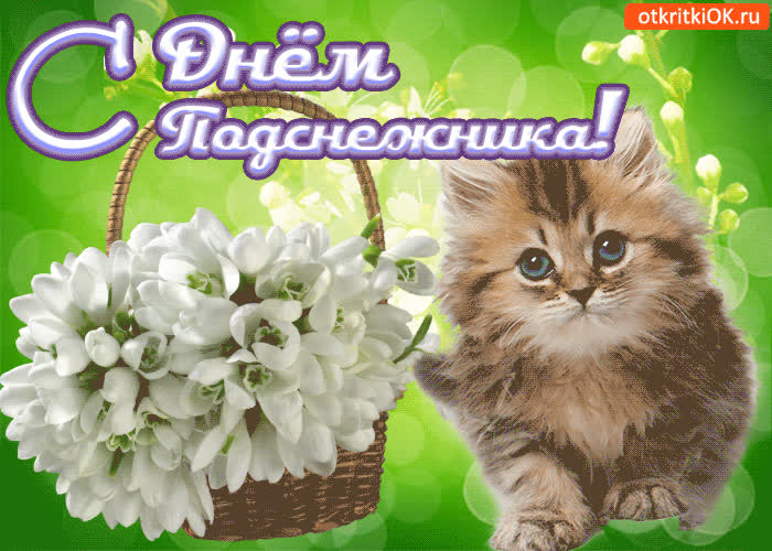 Картинка картинка с днём подснежника