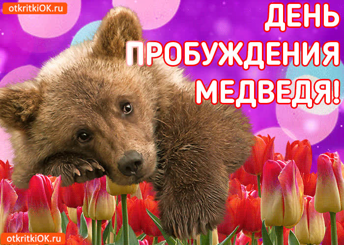 Картинка картинка с днём пробуждения медведя