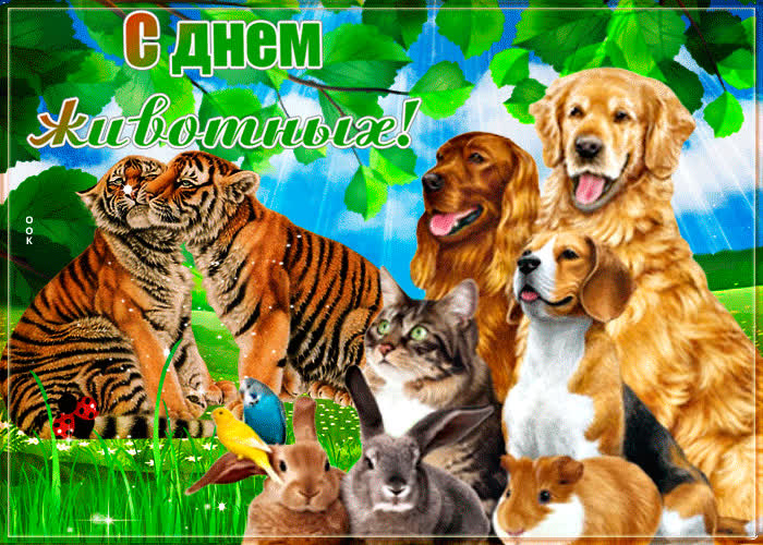 Картинка картинка с днем животных с анимацией