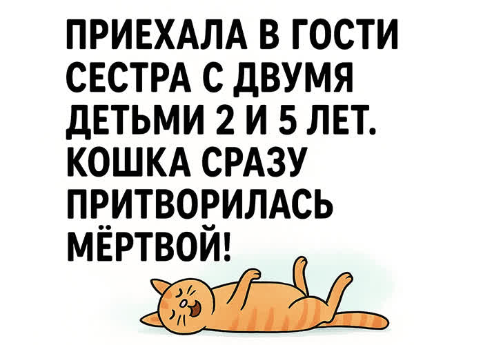 Postcard открытка с маленьким, но смешным моментом