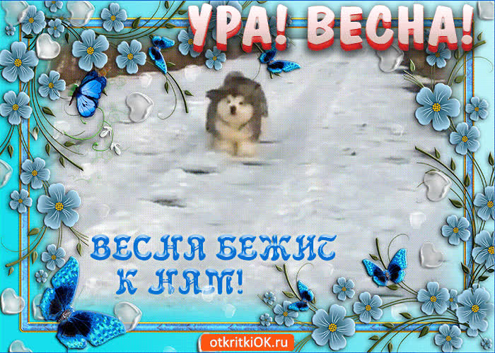Картинка картинка с первым днём весны