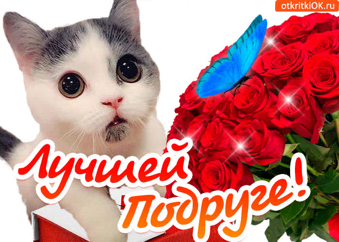 Картинка картинка с розами моей подруге