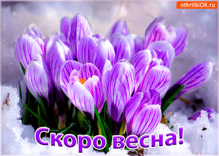 Картинка картинка скоро весна