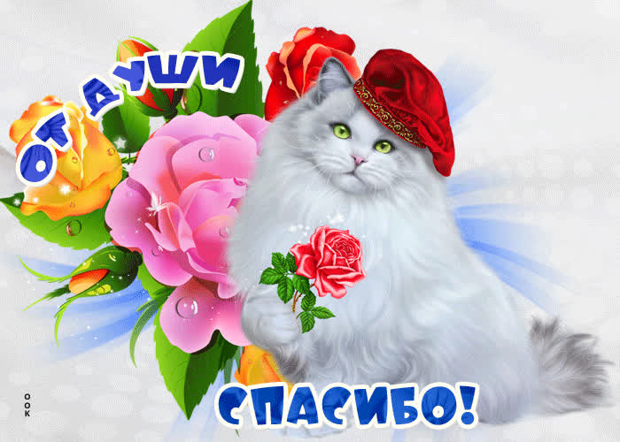 Картинка картинка спасибо от души