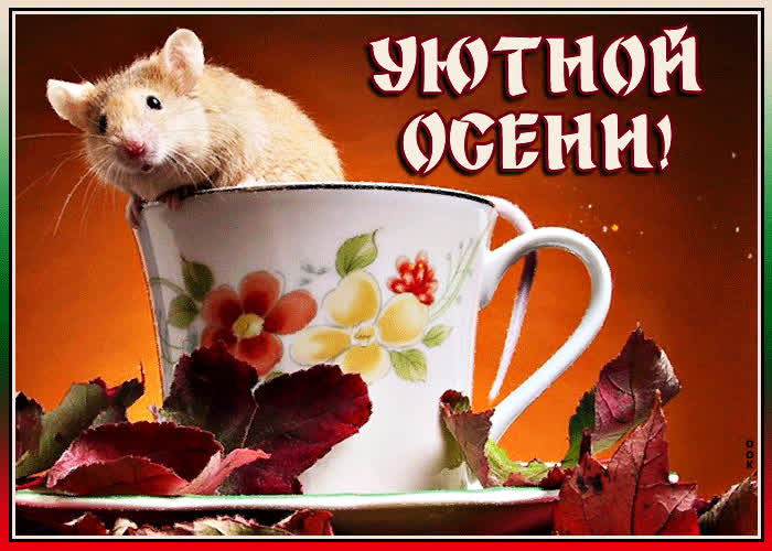 Картинка картинка уютной осени