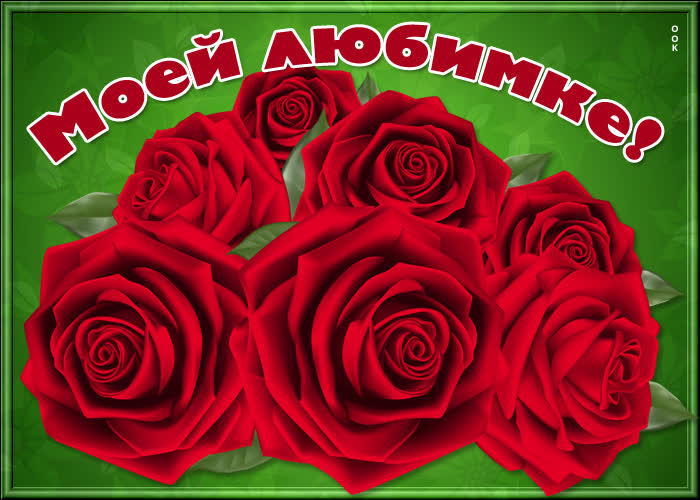 Картинка картинка великолепные розы