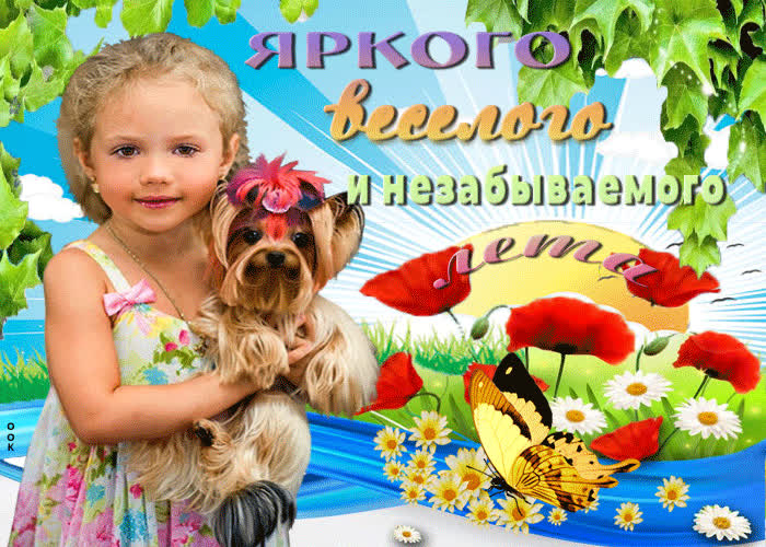Картинка картинка яркого лета