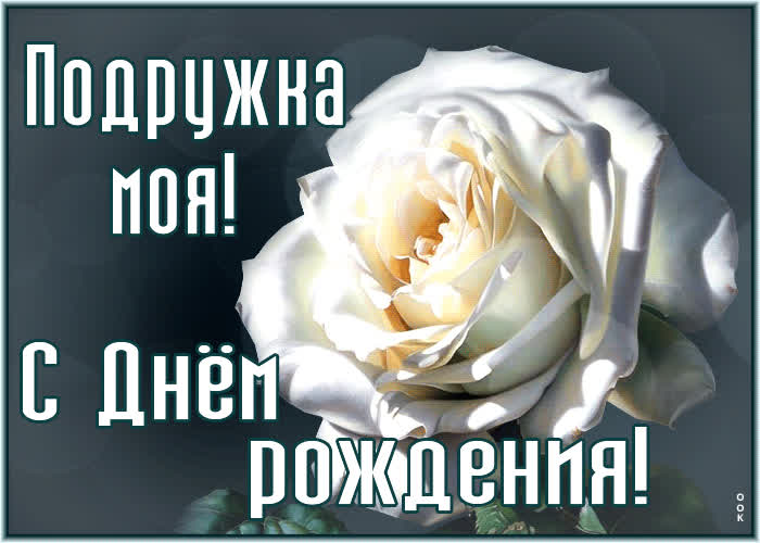 Picture отличная открытка с белой розочкой подружка моя, с днем рождения!