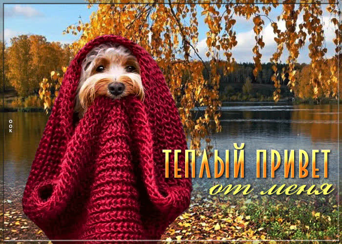 Picture отрадная и утешительная открытка  теплый привет от меня