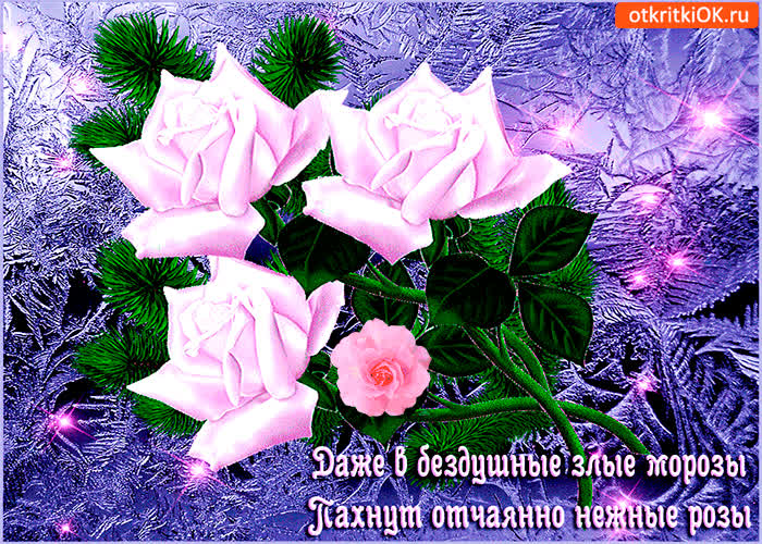 Картинка пахнут нежные розы