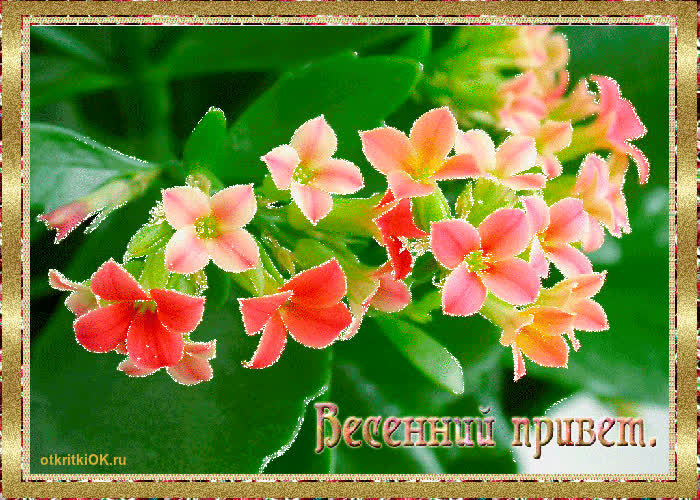 Картинка первый день весны праздник