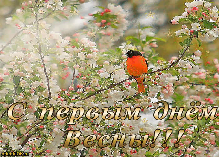 Картинка первый день весны прикольные