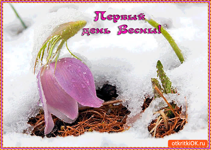 Картинка первый день долгожданной весны