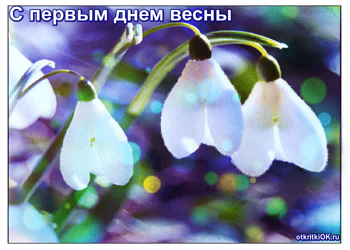 Картинка первое марта день весны
