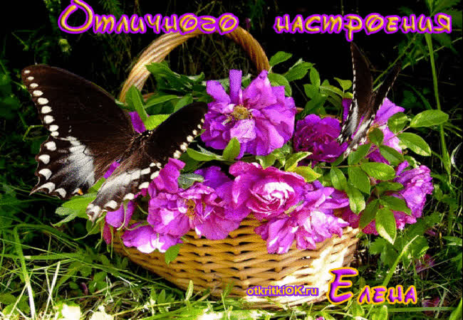 Картинка пожелание отличного настроения картинка