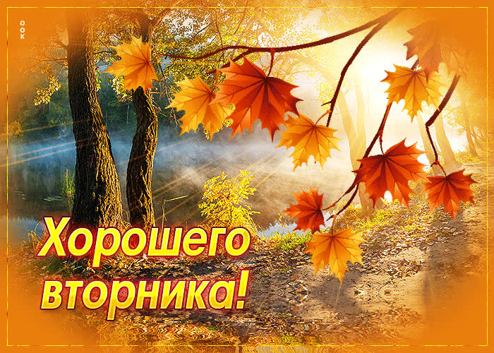 Postcard потрясающая открытка хорошего вторника! с красивой природой
