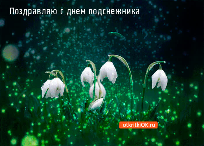 Картинка поздравляю с днём подснежника