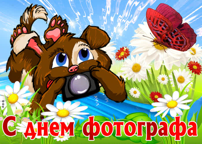 Картинка поздравляю с днем фотографа
