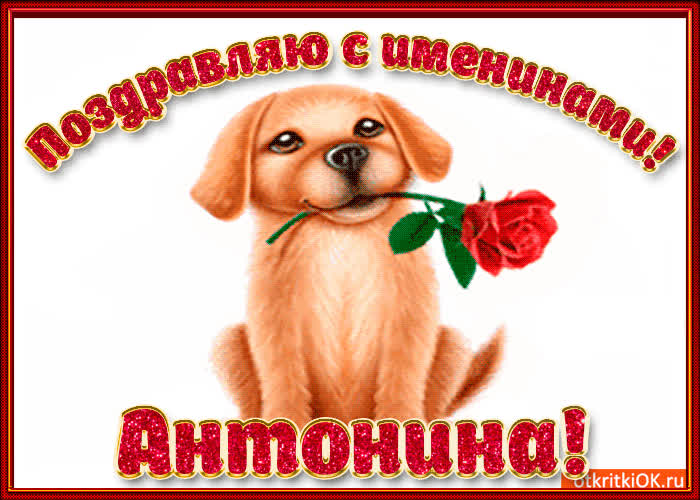Картинка поздравляю с днём имени антонина