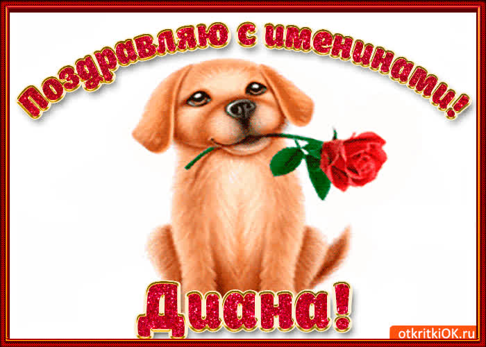 Картинка поздравляю с днём имени диана