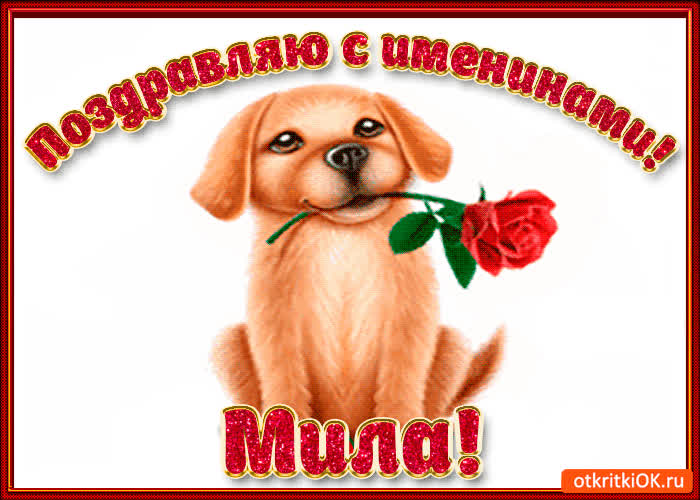 Картинка поздравляю с днём имени мила