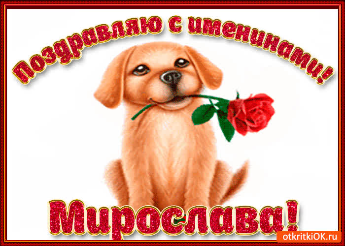 Картинка поздравляю с днём имени мирослава