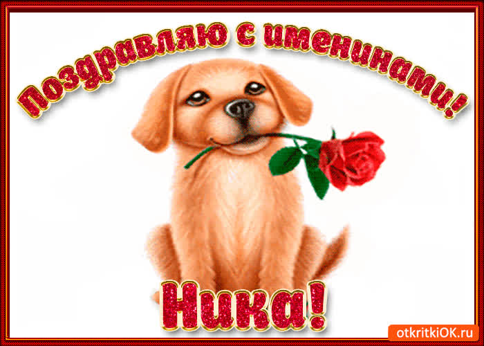 Картинка поздравляю с днём имени ника