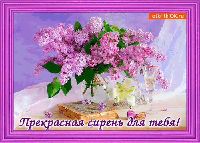 Картинка прекрасная сирень для тебя