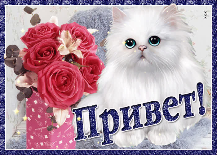 Картинка прекрасная картинка привет