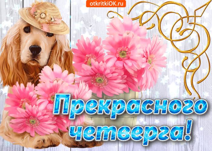 Картинка прекрасного четверга