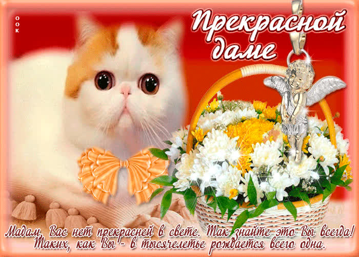 Картинка прекрасной даме