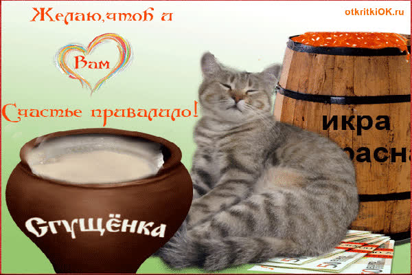 Картинка прикольная картинка с котами