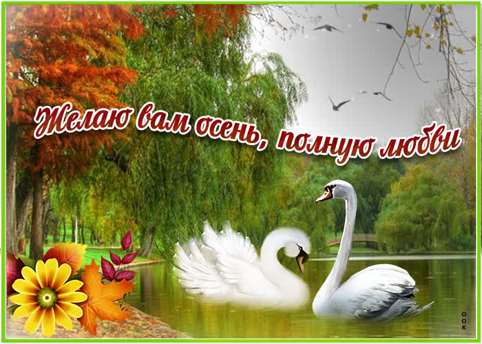 Картинка божья коровка принесёт удачу