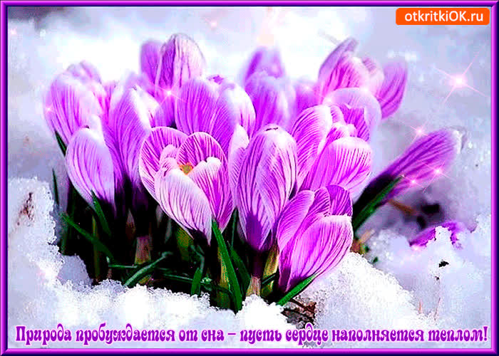 Картинка природа пробуждается от глубокого сна