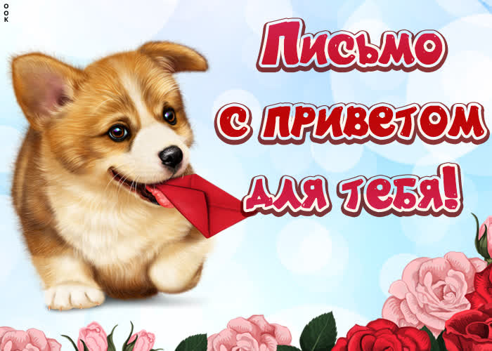 Картинка привет друзья