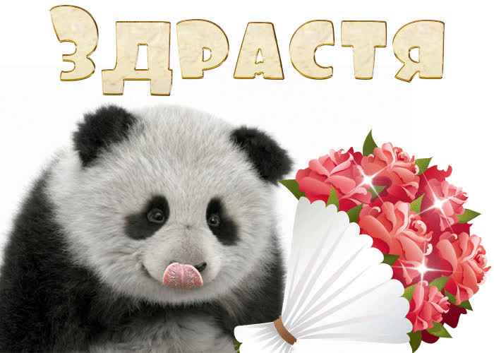 Картинка привет от мишки