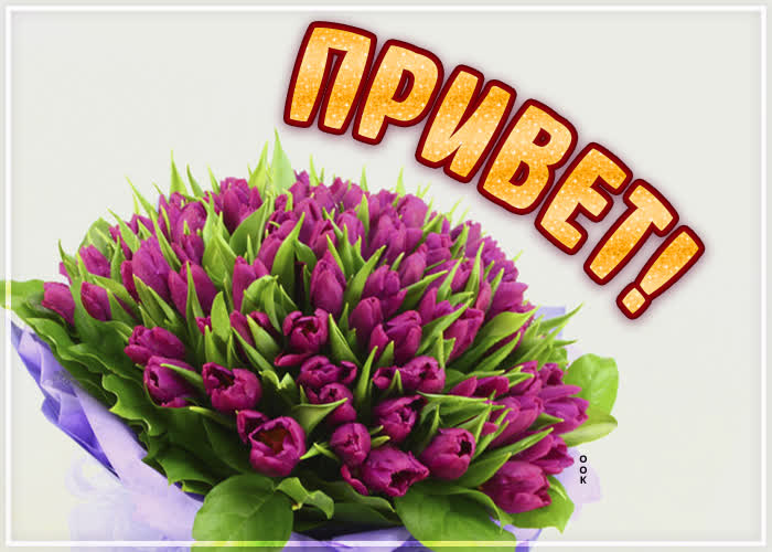 Картинка приветик и красивый букетик
